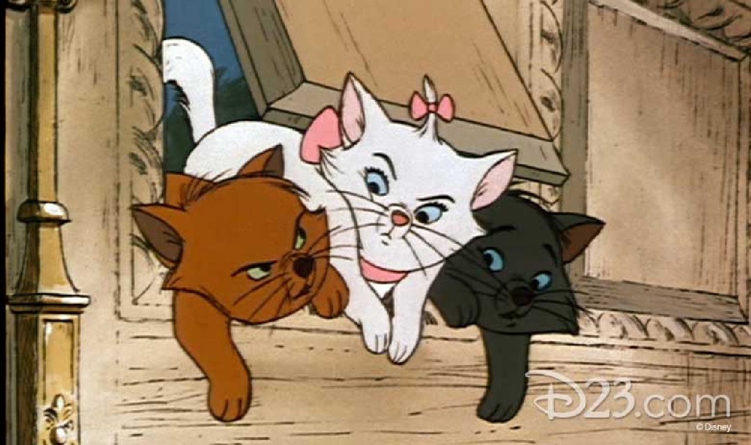 CatsCatsCats